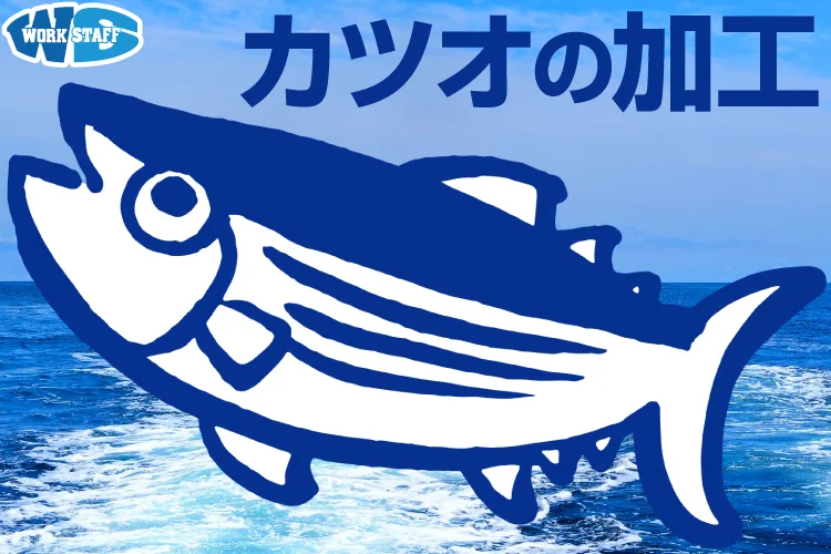 カツオの加工2510
