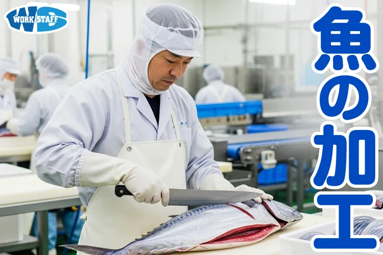 鮮魚加工スタッフ