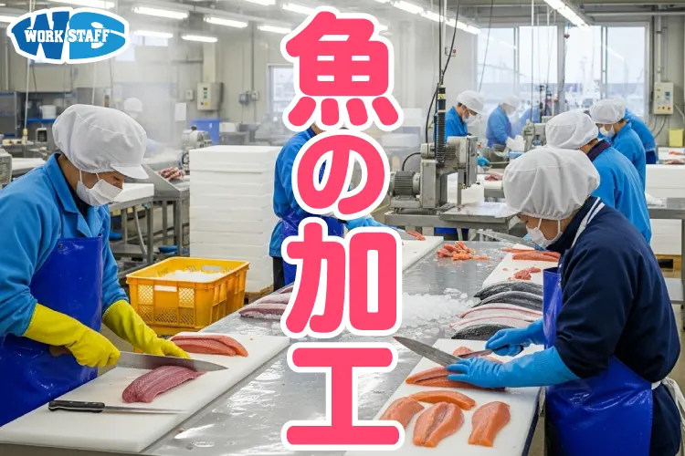 スーパー水産部門でのパック詰め・品出し