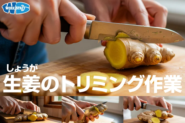 工場でのショウガの加工