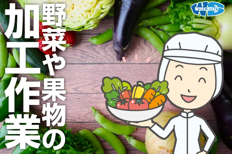 野菜や果物の加工作業2504