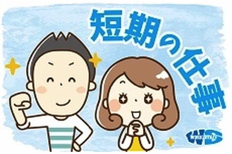 文旦やニラの箱詰め/選果場での軽作業