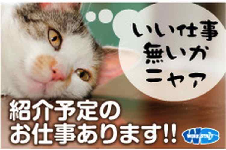 資料整理や入力業務など一般事務＊未経験ＯＫ＊