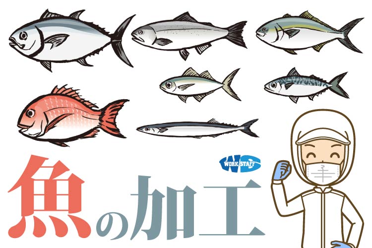 魚の加工